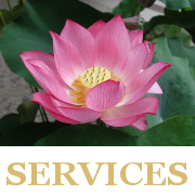 LCCservices